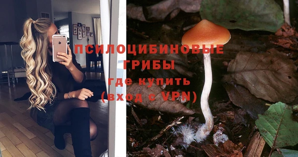 Альфа ПВП Алексеевка