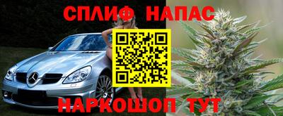 PSILOCYBIN Малоярославец
