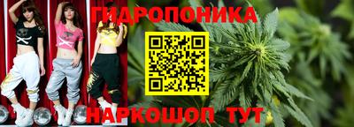 шишки Ликино-Дулёво