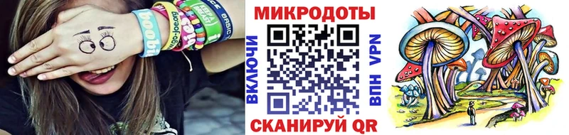 Галлюциногенные грибы Psilocybine cubensis  наркота  Клин 