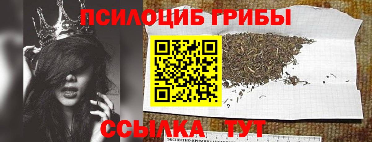 Псилоцибиновые грибы Magic Shrooms  Вход с VPN  Клин  Псилоцибиновые грибы Magic Shrooms 